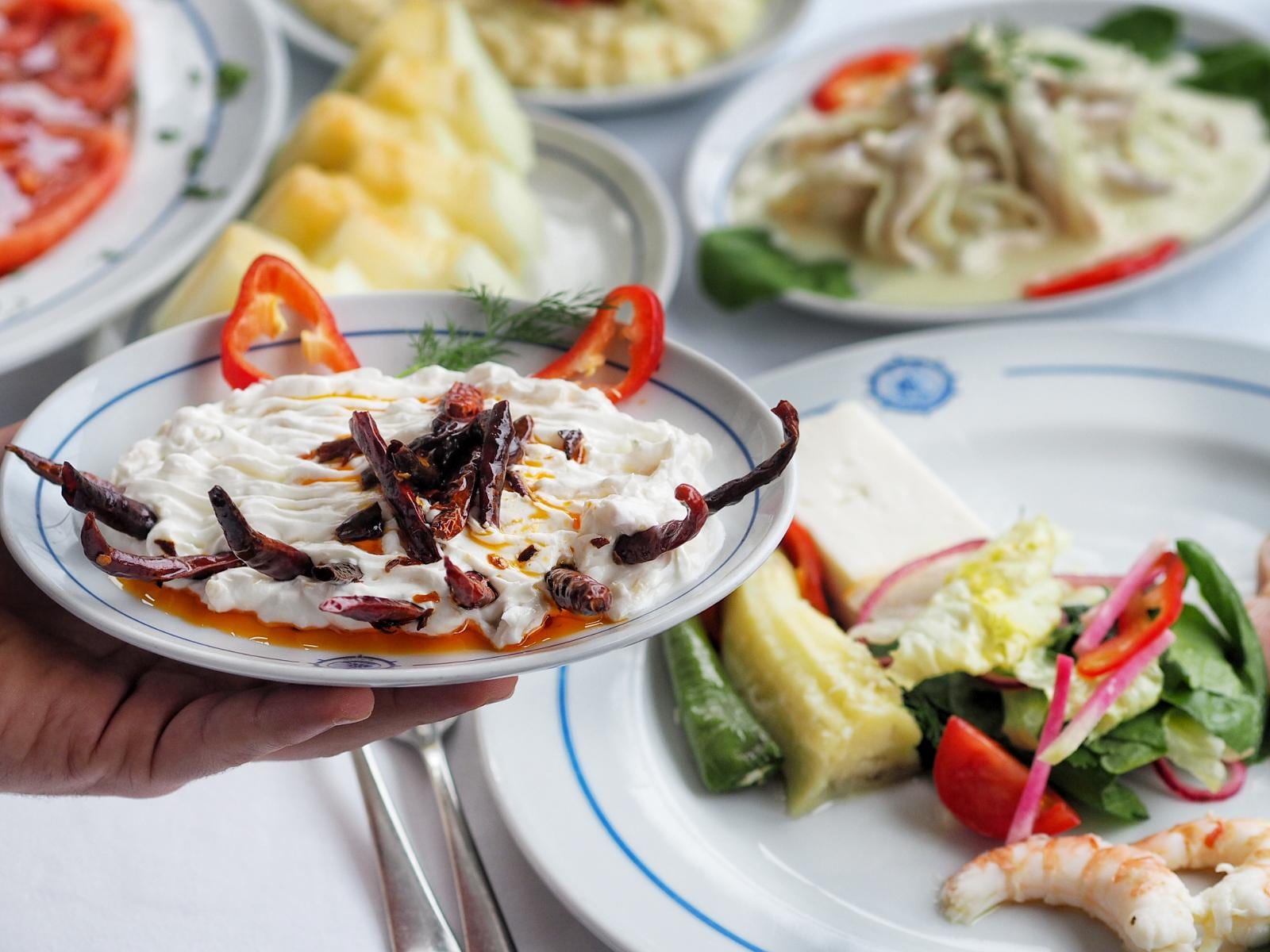 Información sobre la gastronomía turca típica o tradicional